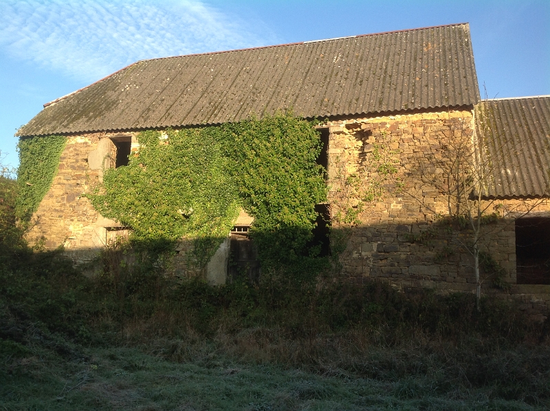 090 20141106 PLEINES-OEUVRES 06.jpg